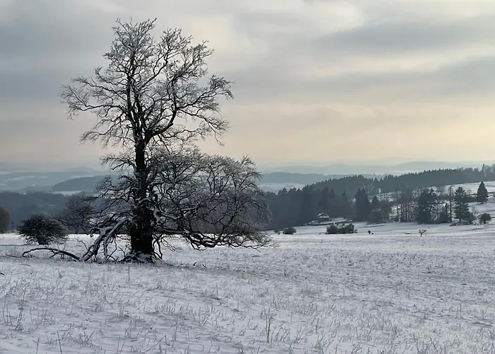 Nyaraló Oaktree-cottage